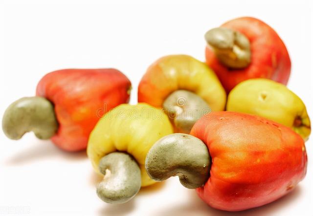 腰果的营养价值有哪些，储存及它的营养价值和禁忌