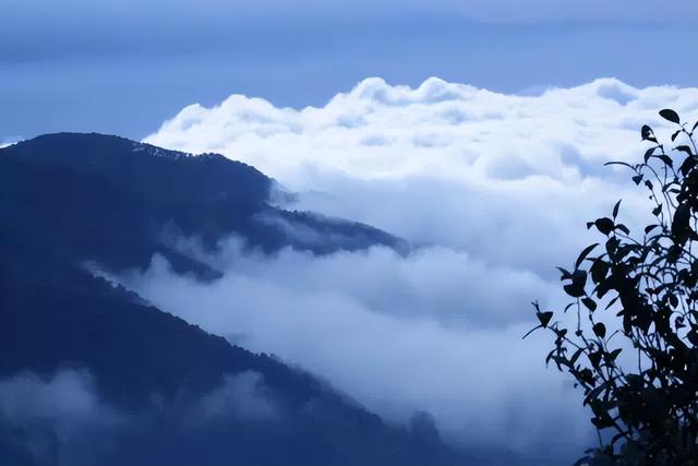 云南云县有什么好玩的地方（临沧茶区——云县白莺山）