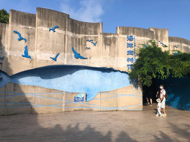 青岛三日游旅游攻略，青岛旅游攻略三天游（带娃青岛三日游）