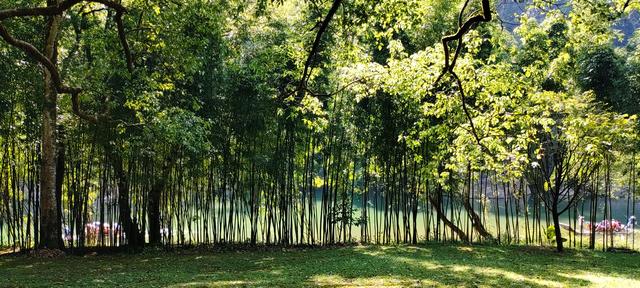 杭州二日游攻略，杭州二日游攻略自由行（杭州-武夷山二日游之绿野仙踪漫游道）