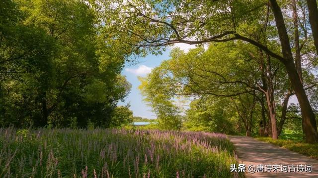 梅子黄时是什么季节，三衢道中梅子黄时是什么季节（清新明快的初夏）