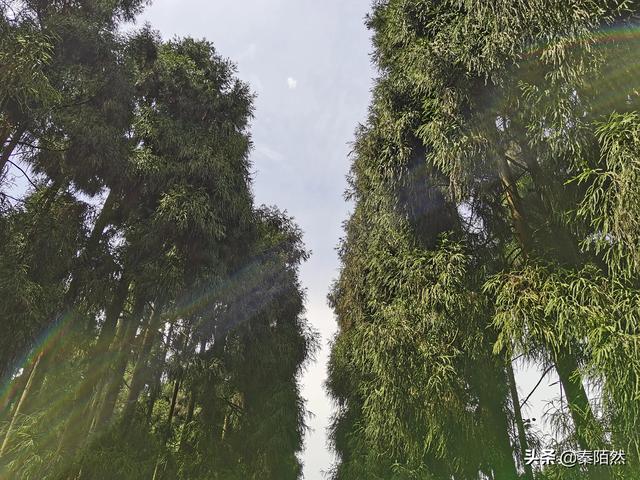 怎样游览邛崃天台山，去邛崃天台山（2022夏日自驾旅行体验）