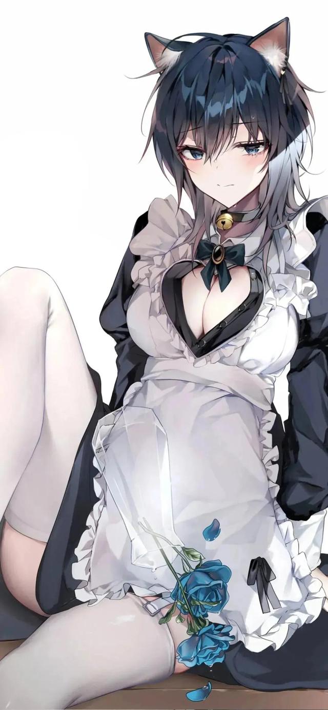 高清动漫全屏壁纸‖＊，动漫高清全屏壁纸 1080（丨二次元丨动漫丨高清丨全屏丨美图丨壁纸丨）