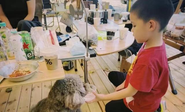 梅婷个人资料，梅婷个人资料简介图片老公（9岁女儿继承妈妈黑眼圈超可爱）