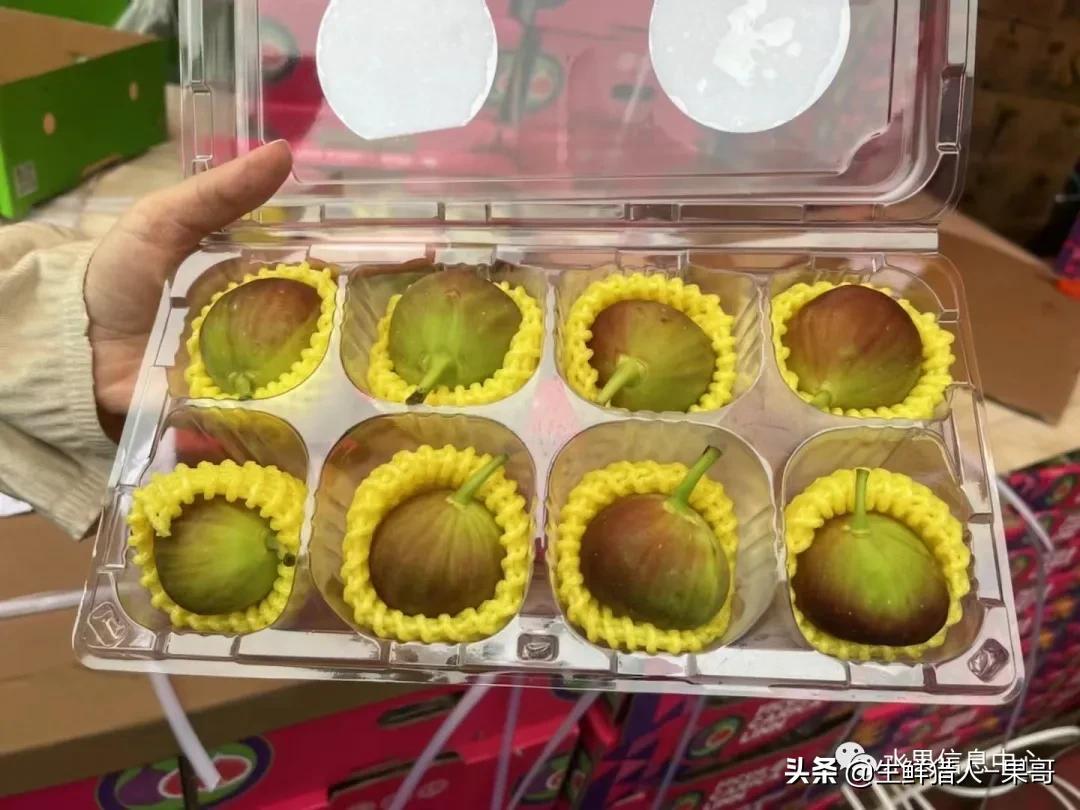 浆果是什么，浆果是什么软件（不同水果的不同包装<浆果篇>）