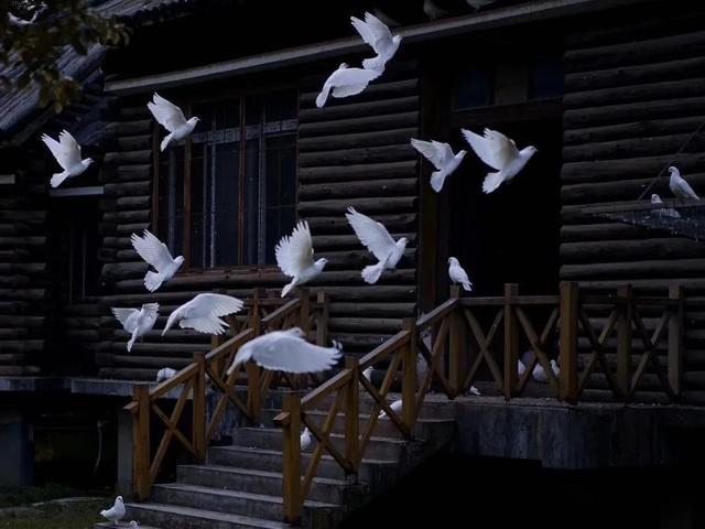 会者定离 一期一祈，会者定离（简约且高级的小众文案）