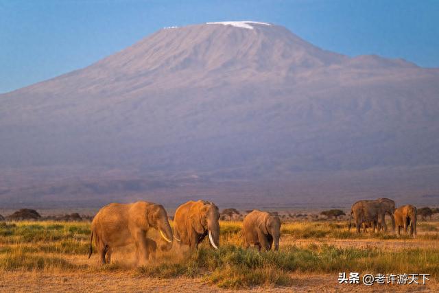 肯尼亚全景游：非洲第一高峰乞力马扎罗山最佳观赏地——安博塞利