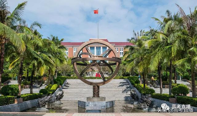 深圳职业技术学校招生条件2021，2021年深圳职业技术学院开设专业及招生专业目录表（刚刚！深职、深信要升本了）