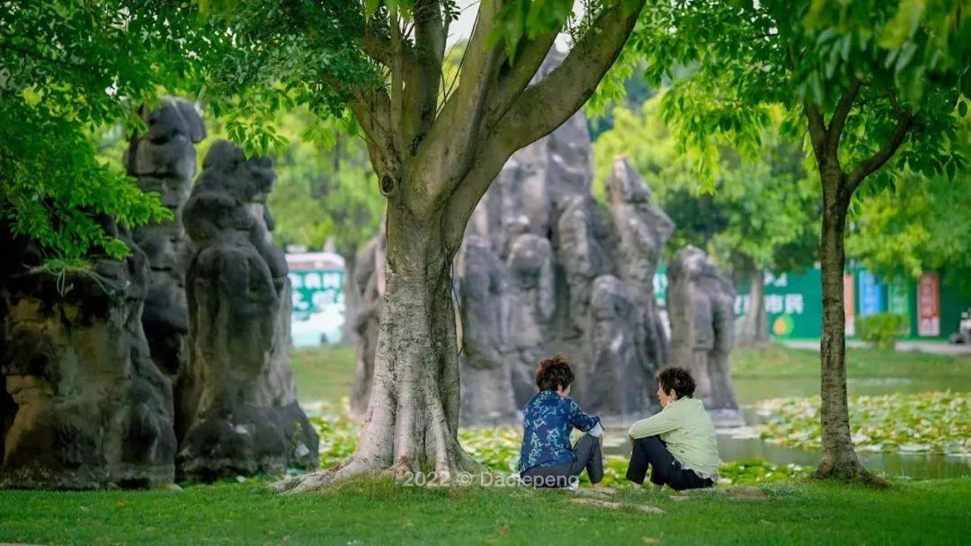 庆来学校（云南极不出名的小镇）