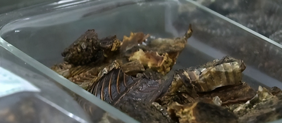 适合菜市场的独门生意(投资小利润高的小生意)