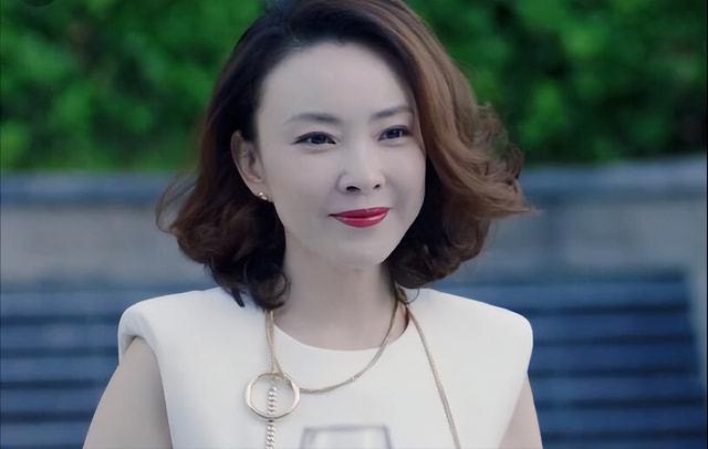 征服里的韩跃平是扮演现实中的谁,征服韩跃平谁扮演者(剧中6大"恶人"