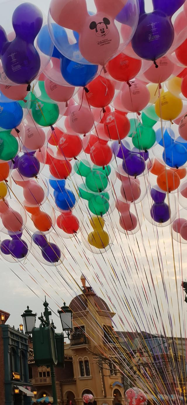 简短走心的文字背景图 怪我没有见过玫瑰，所以对野花情有独钟，最走心的图片文字（那一些念念不忘却没有回响的文案）