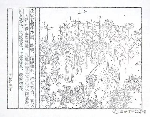 呼兰河传插图内容，黑龙江木版手制书《呼兰河传》被英国牛津大学图书馆收藏