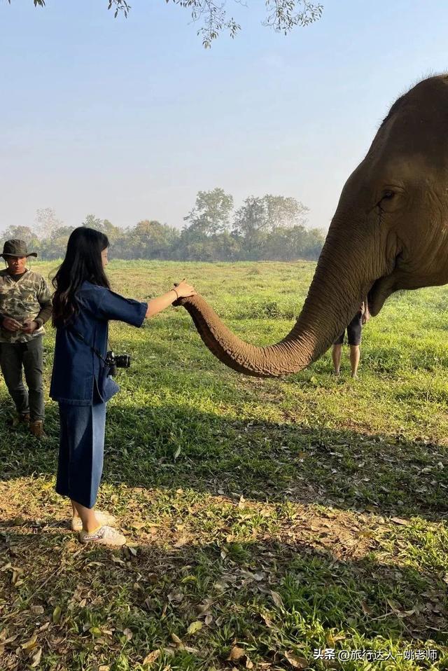 安纳塔拉度假会，阿布扎比安纳塔拉度假村（泰北，丛林野奢OR城市度假）