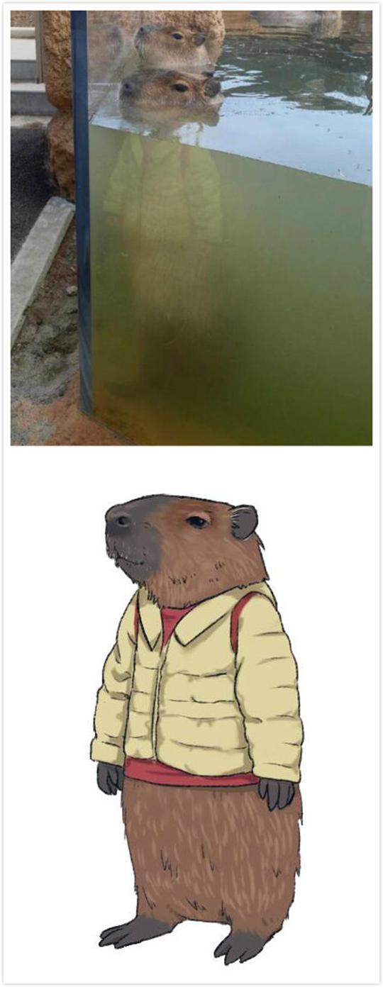 妹妹你坐船头哥哥我岸上走网名，妹妹你坐船头哥哥我岸上走微信昵称（那些笑掉大牙的搞笑图片哈哈哈哈）