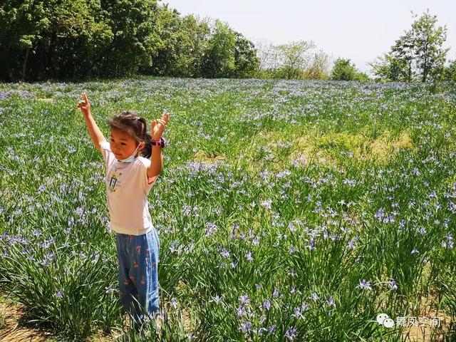 北京西山森林公园，北京西山森林公园登山路线推荐（西山国家森林公园）