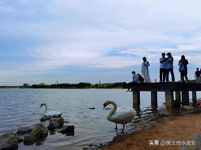 郑州龙湖湿地公园现状分析，河南郑州龙湖湿地公园秋色初露