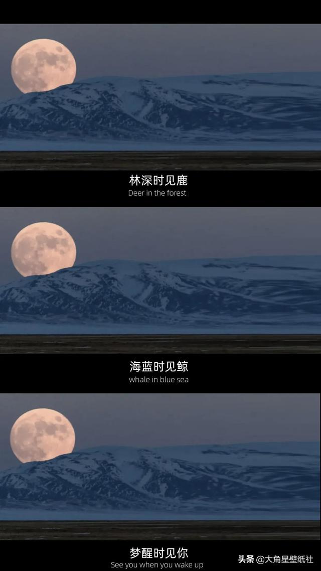 微信壁纸｜one，微信壁纸怎么设置主题背景（手机壁纸，你是最棒的图片）