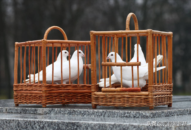 房价收入比怎么算，房价收入比应该这样算（算算北上广深房价收入比）