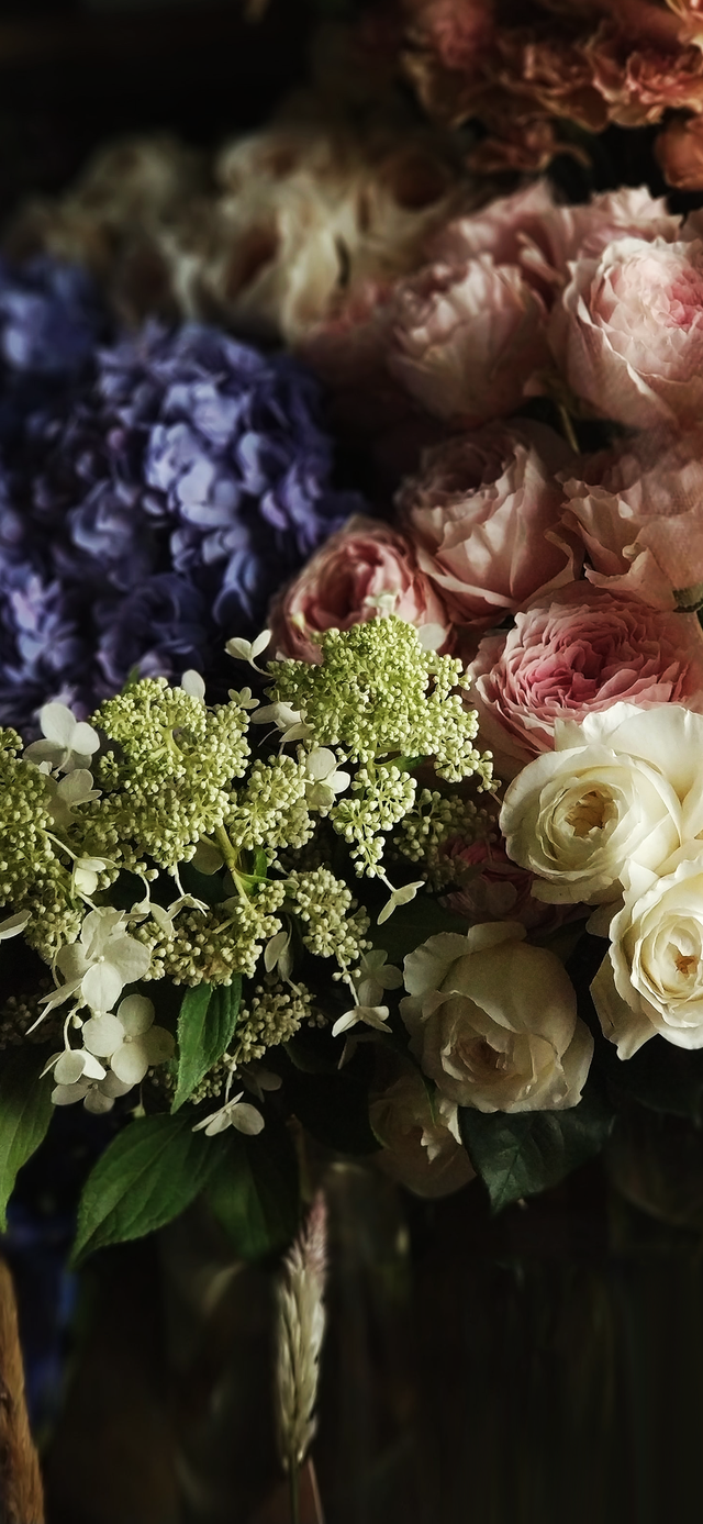 风景静物背景图|谢谢光临.，静物背景图片（花卉摄影壁纸图文解说）