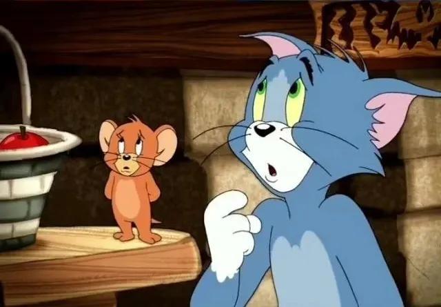 猫和老鼠里面的母猫现实品种，猫和老鼠中汤姆猫的原型究竟是什么品种