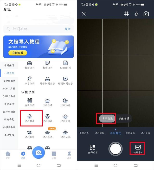 怎么用百度图片功能识别自己不认识的植物，如何百度图片识别植物（如何拍照识花名？好用方法来了）