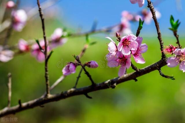 爱而不得下一句是什么，爱而不得下一句连起来（爱而不得下一句连起来爱而不得不曾相识）