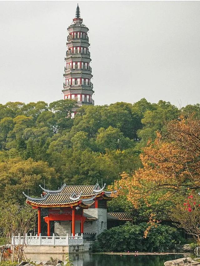 登顶顺峰山，俯瞰顺德美景！一次难忘的自然探险之旅！