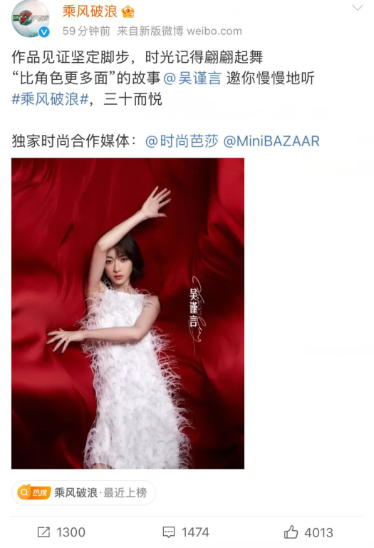 乘风破浪的姐姐们，乘风破浪的姐姐们名单（《乘风破浪》官宣全阵容）