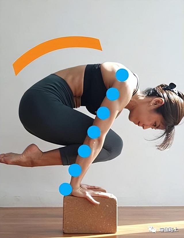 瑜伽最常见体式有多少种，个常见的基础瑜伽体式