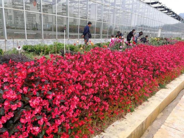 贵州旅游地图全图，贵州旅游地图全图高清版本（贵阳近郊最适合自驾旅游景点推荐）