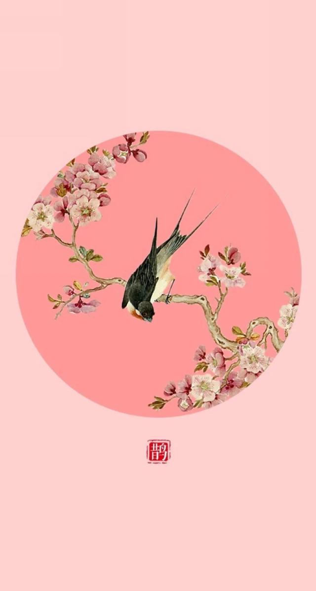 喜鹊图片大全大图，喜鹊的种类及分布图（喜鹊吉祥图片，精美手机壁纸）