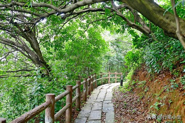 丝绸之路的路线，海上丝绸之路的路线（一条被荒弃在大山里的古道）