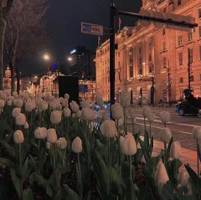 文字/风景/唯美背景图.“远方传来风笛 我却在意有你的消息”，风来自远方去去也无妨背景图（无状态也可以发的文案）