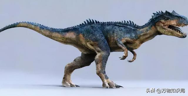 科学家用鸡的基因复活恐龙，鸡中霸王 鬼谷