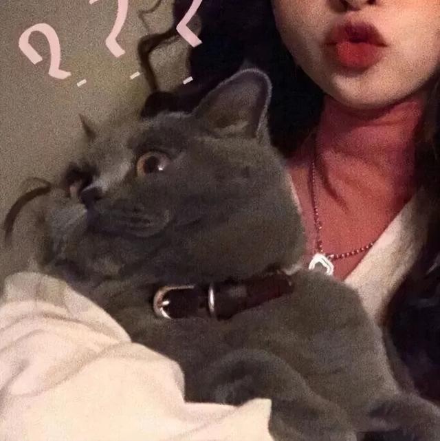 超甜的情侣头像，超级甜的情头微信（130张情侣、闺蜜头像）