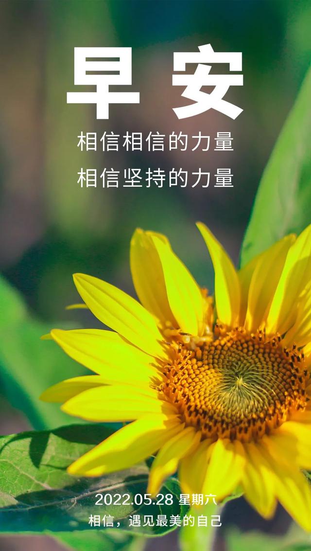 早晨充满正能量的句子,早上优美正能量句子(早上好说说语录图片)