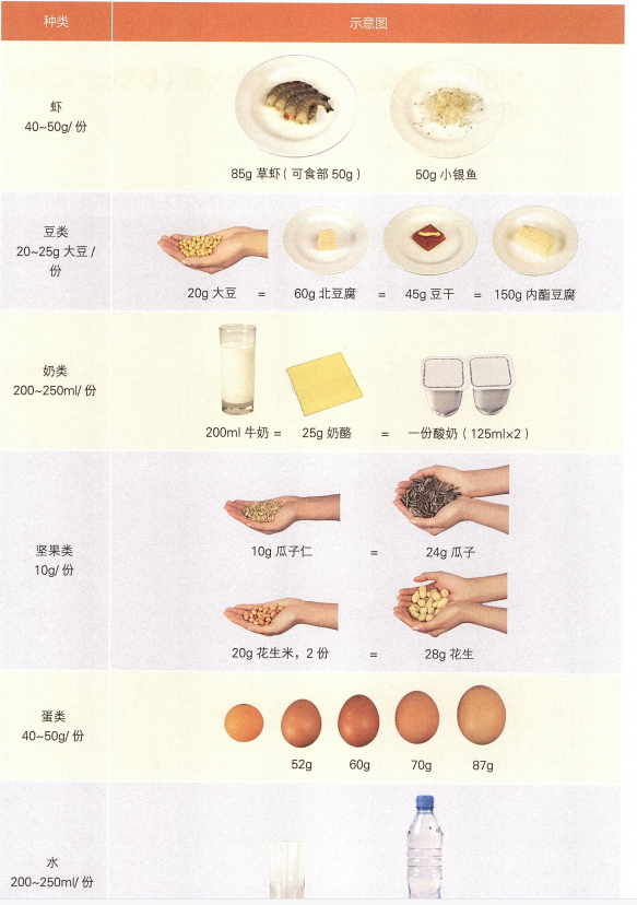认识食物份量，明明白白吃了多少