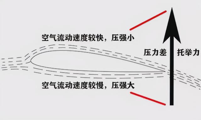 为什么金花蛇无翅却能飞，金花蛇会飞告诉我们一个什么道理（研究员发现金花蛇的秘籍）