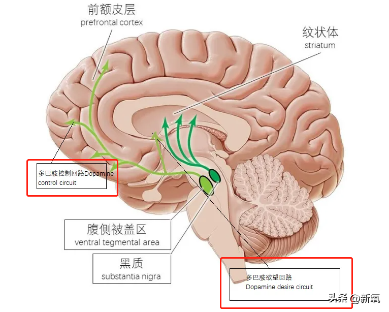 朴敏英演的电视剧，朴敏英十部经典电视剧（朴敏英的《月水金火木土》甜疯了）