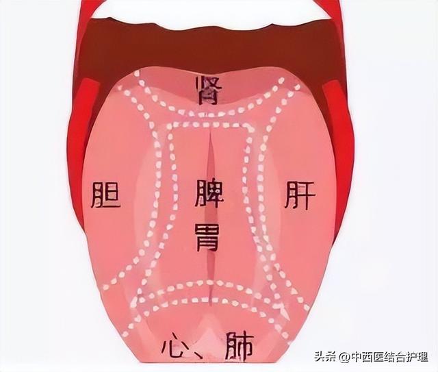 为什么很多人觉得舌尖3不如前两部好看了，舌尖3为什么评分那么低（舌头出现的各种症状）