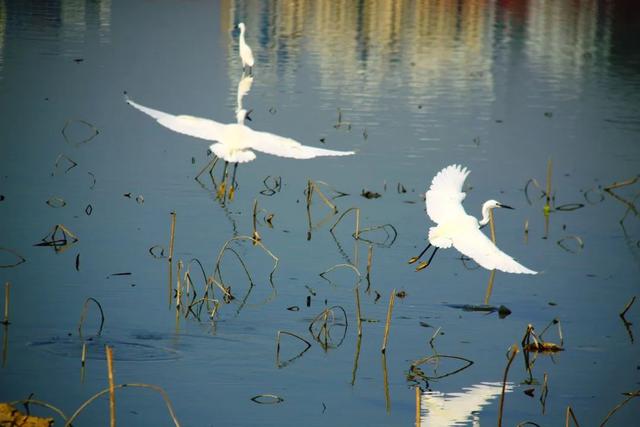 形容晚上的词语，形容晚上天气好的词语（白露暧秋日，月明清漏中）
