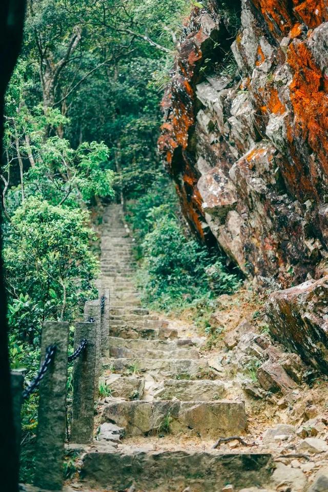 深圳好玩的免费景点，深圳哪里好玩的景点（来深圳这10个地方免费玩）
