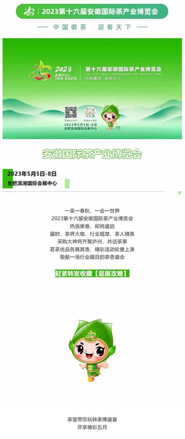 安徽茶博会游记