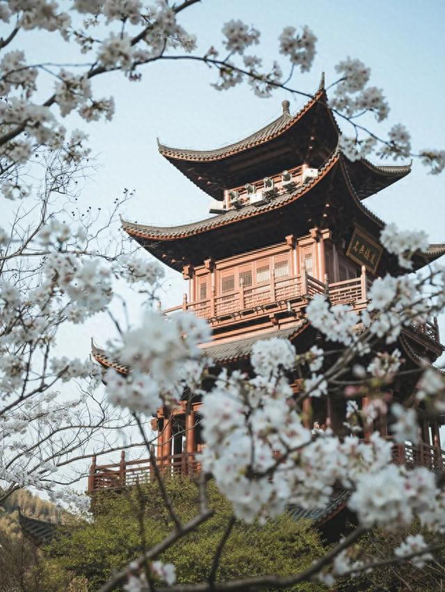 浪漫奔赴！葛仙村《天赐非凡歌会》出行游玩攻略来啦！