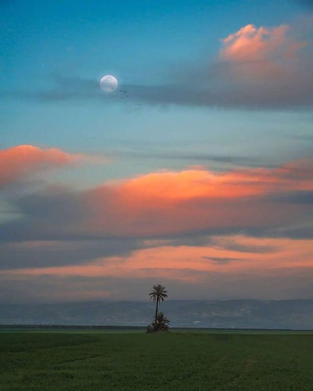 心情开心的句子，写心情的句子经典心情说说（累了就睡觉）