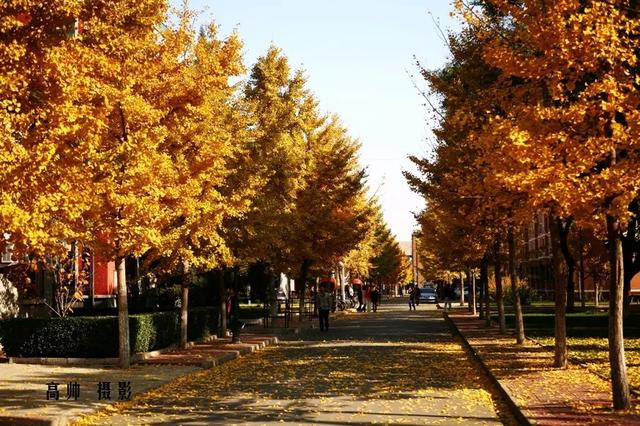 中国传媒大学专业，中国传媒大学最好的专业（中国传媒大学2019年--2021年播音与主持艺术专业录取分数线汇总）