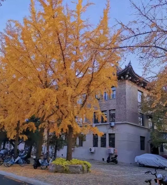 手写背景图＋壁纸｜考研考试上岸，手写背景图高清（我有一张至今舍不得删掉的考研备考照片）