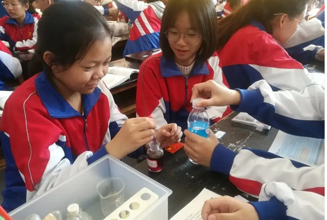 初中上私立有什么好处，亲姐俩分别读公立初中和读私立学校