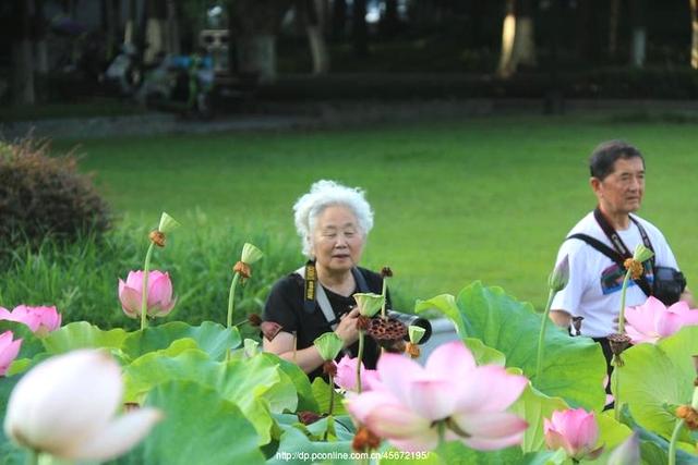 知足常乐是什么意思，什么是知足常乐（知足常乐、自得其乐、助人为乐）